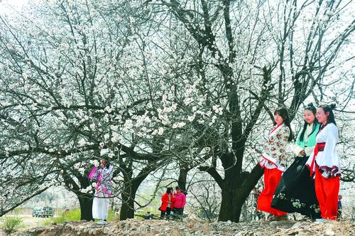 苦力王直播手机版界面预览